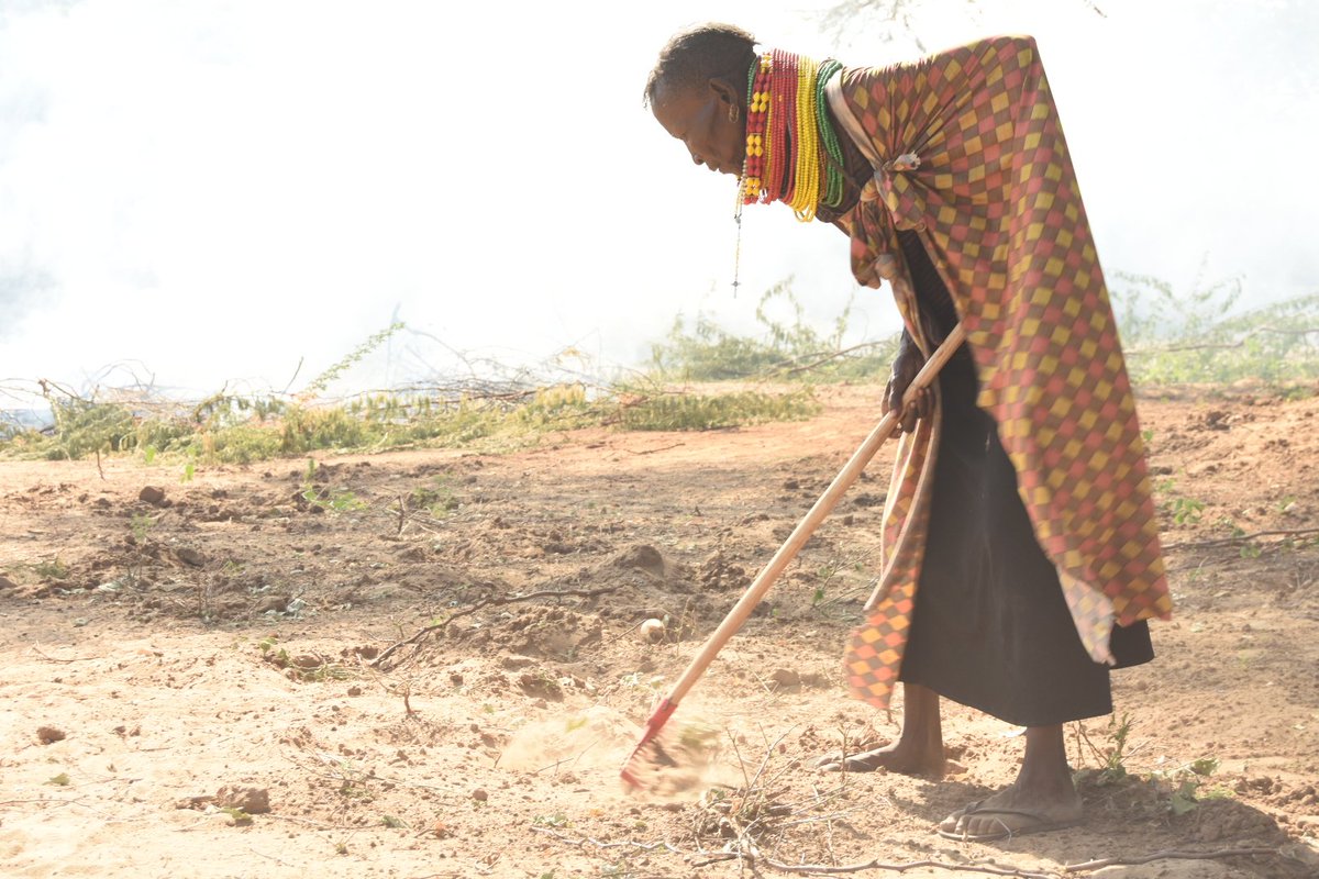 edochait's tweet photo. Older farmers from Nasanyanait irrigation scheme clearing land for cultivation using farm implements supplied by Echami, supported by Help Age International Kenya under the ADH Climate Smart Agriculture Project. @HelpAgeAfrica @kenamakena @AletiaSusan @CaroleAgengo1 https://t.co/IkMJsQA9lf