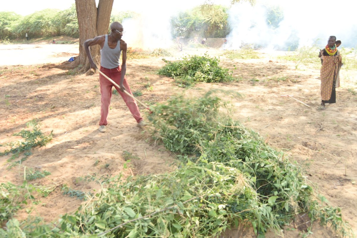 edochait's tweet photo. Older farmers from Nasanyanait irrigation scheme clearing land for cultivation using farm implements supplied by Echami, supported by Help Age International Kenya under the ADH Climate Smart Agriculture Project. @HelpAgeAfrica @kenamakena @AletiaSusan @CaroleAgengo1 https://t.co/IkMJsQA9lf