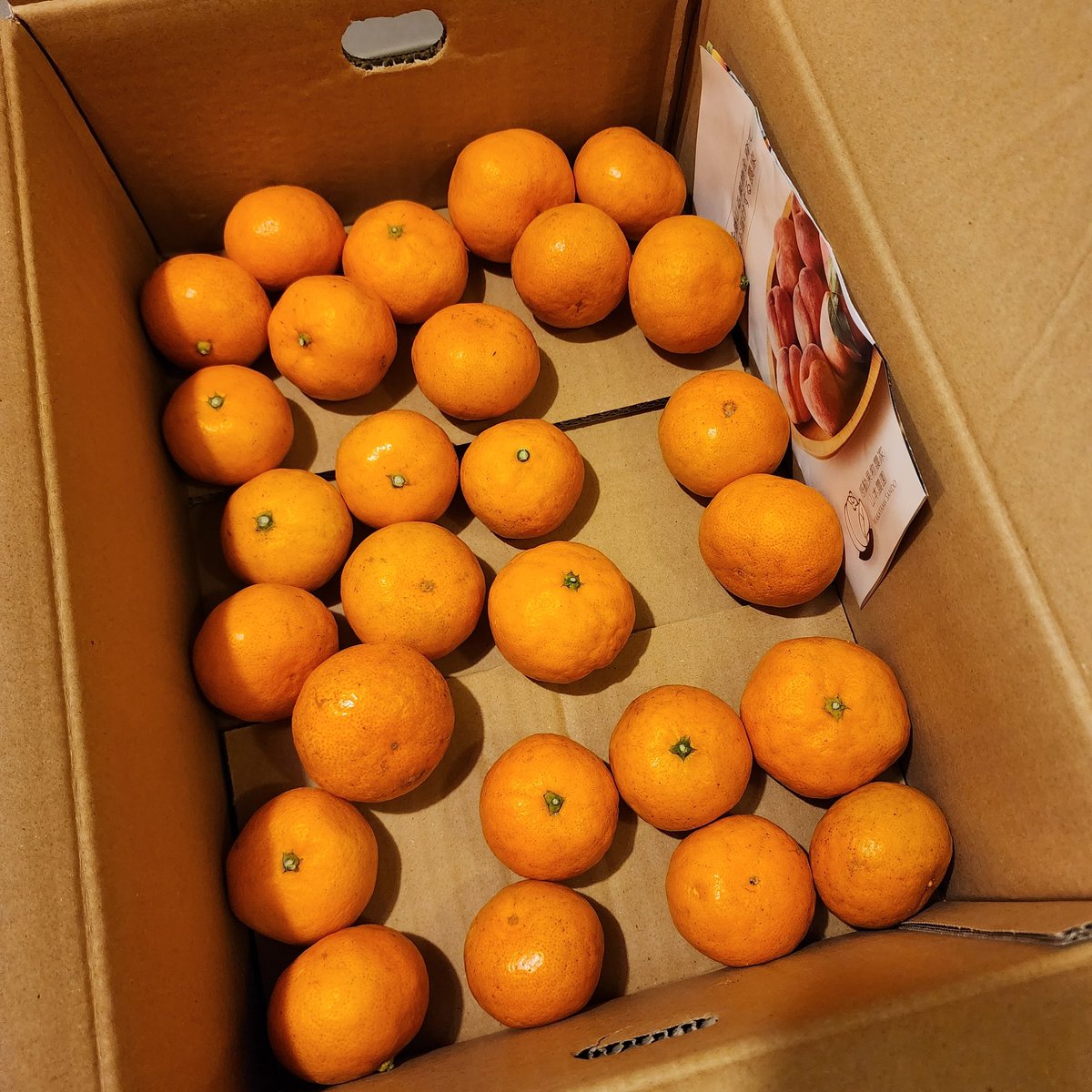 25キロ頼んだうち10キロ届きました！美味しくて、もうこの状態です