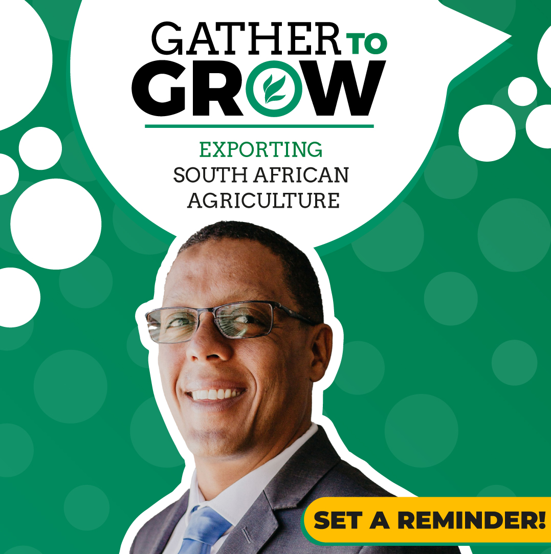 Gather To Grow is back next week, and we're talking exports! Farmers, if you're trying to break into the export market, bookmark your calendar for this discussion on Wednesday @ 18:00 CAT on IG Live!
instagram.com/foodformzansi?…