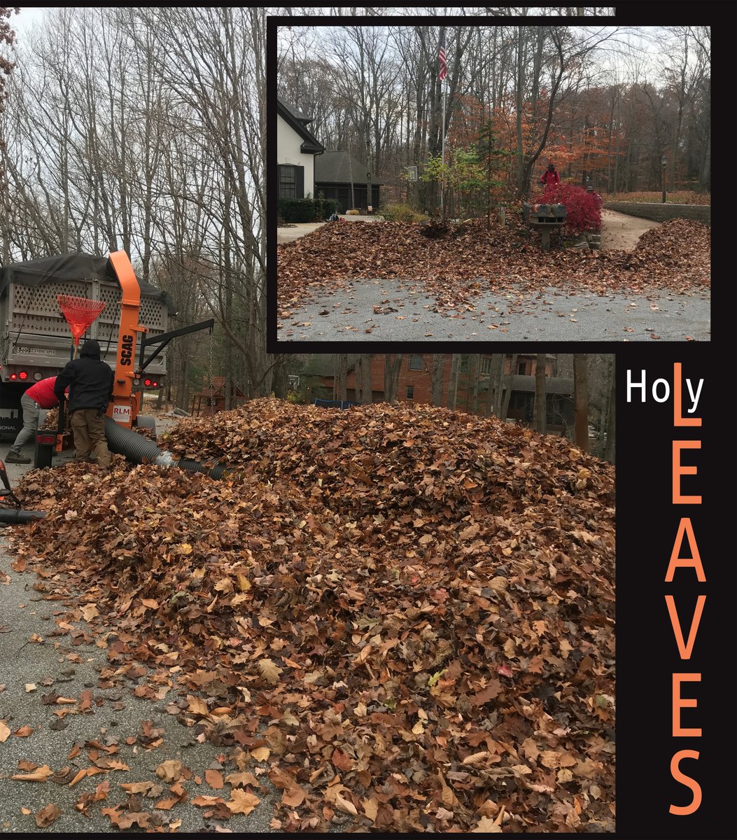 RicciLandscape's tweet image. Well, this will take a minute...🍁🍃🍁🍂🍁🍃🍁🍂😱

#RiccisLandscapeManagement #LeafCleanup #Leavesonleavesonleaves #FallCleanup #DecemberCleanup