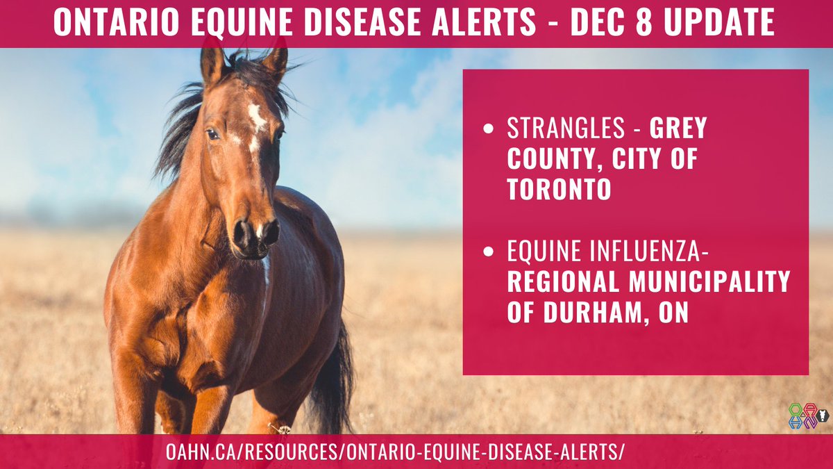 Ontario Animal Health Network tweet media