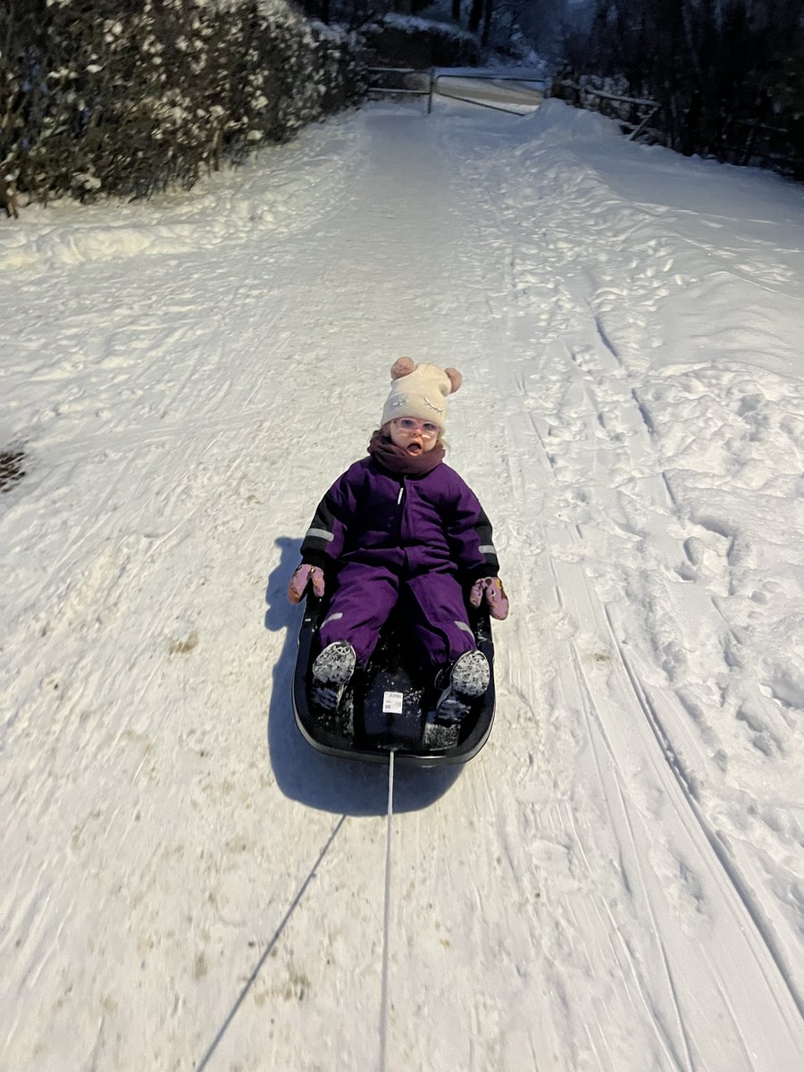 LadyWriterSWE's tweet photo. This week we've reached peak winter in Stockholm. I've had several days worth of minus degrees C during the day and I've transported my toddler to pre-school with a sled. We also have a deer family visiting our back yard. As an Australian living here, it's still quite novel. https://t.co/bMrIJUHinf