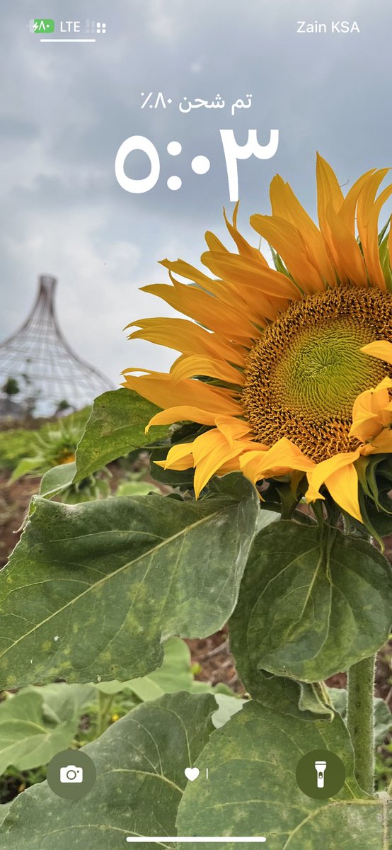 بوربوينت الشريحة بريالين tweet media