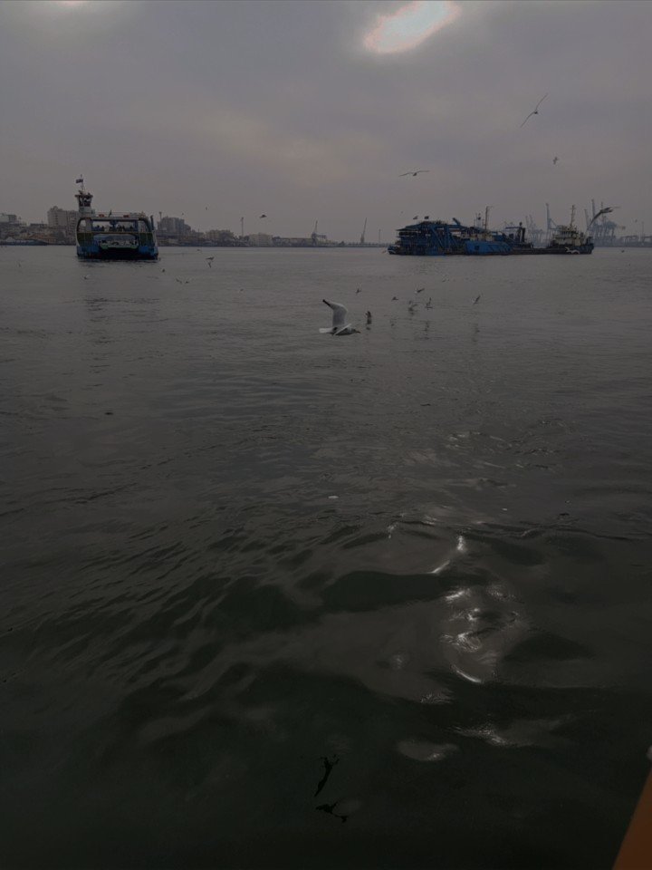 moa_station's tweet photo. #HowIFreefall
This is terribly late for a trend but at a perfect timing for me :] I hope you accept my sincere heart (and a pic I took from the sea today) 🤍

-☕ https://t.co/nQauUnTsiu
