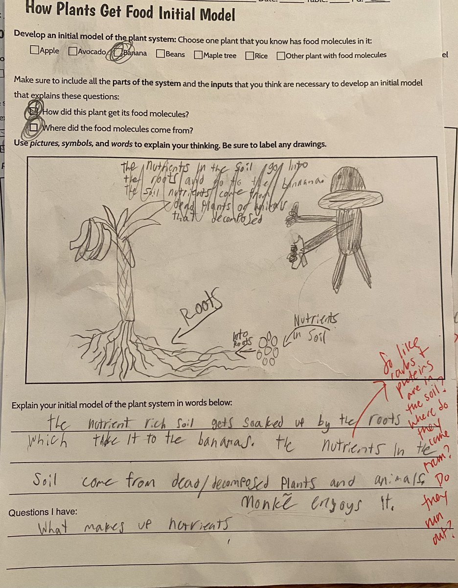 Initial models for 7.4 (Matter Cycling &amp; Photosynthesis). Connections to units Ss had previously is 👀: 6.6 (Cells), 7.1 (Chemical Reactions) &amp; 7.3 (Metabolic Reactions). Ss see these connections yet recognize there is still so much more to figure out with 🌱🪴🫛 <a href="/OpenSciEd/">OpenSciEd</a>