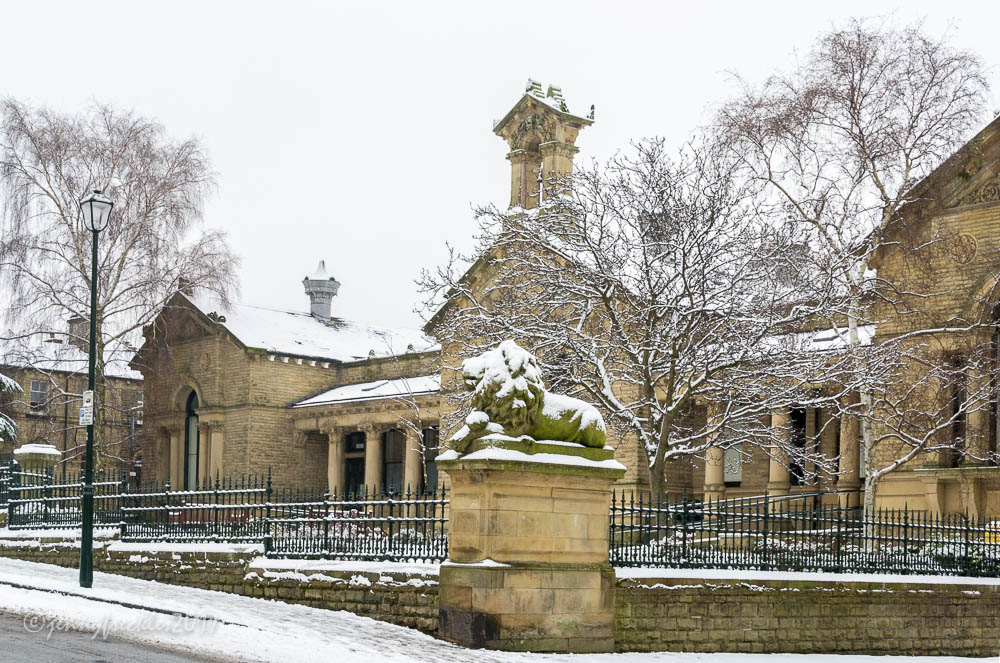 The theme for #ArchiveAdventCalendar today is snow. We've already had some (briefly) in #Saltaire this year. Here is one of the lions outside Victoria Hall coated in the stuff. (Image by Saltaire Daily Photo).