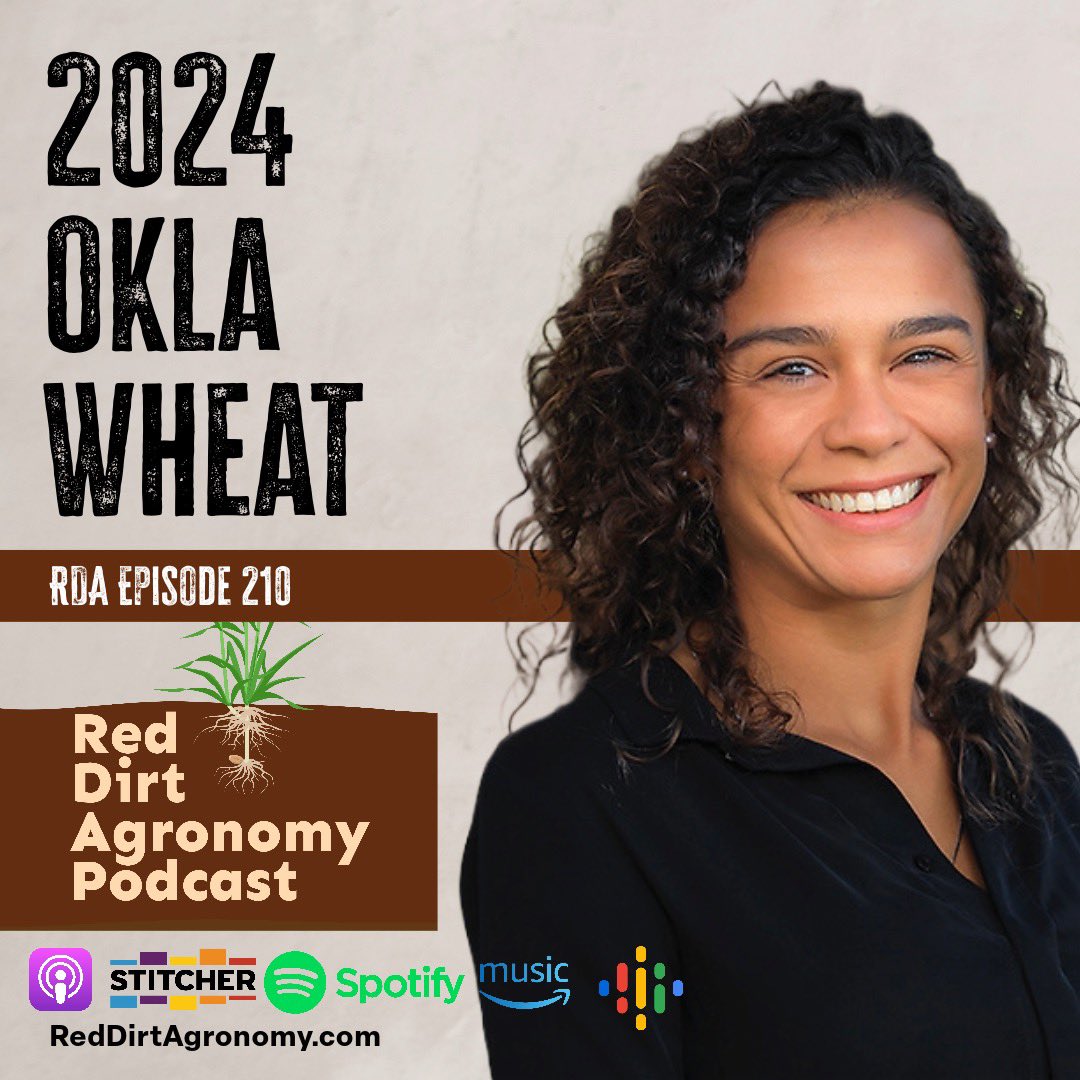 RedDirtAg's tweet photo. All things #wheat!
Download the latest episode of the Red Dirt Agronomy Podcast w/ @OSU_smallgrains!

👉https://t.co/r5UUBi0BIG

Special thanks to the @wheatcommission &amp;  the Ok Wheat Growers Assoc. for sponsoring this episode of the @RedDirtAg podcast! https://t.co/tP7eEyciWj