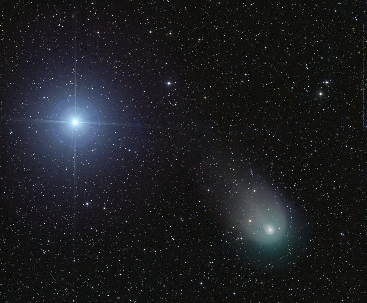 #Vega & #Comet12P #PonsBrooks