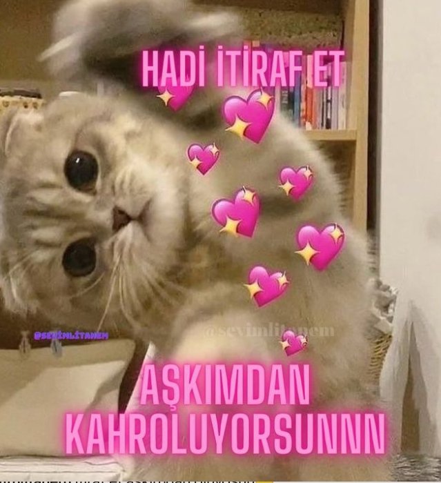 sevim_capac's tweet photo. Manitaya her saniye uyguladığım tarife 🩷 https://t.co/yJQmAkm2Sj