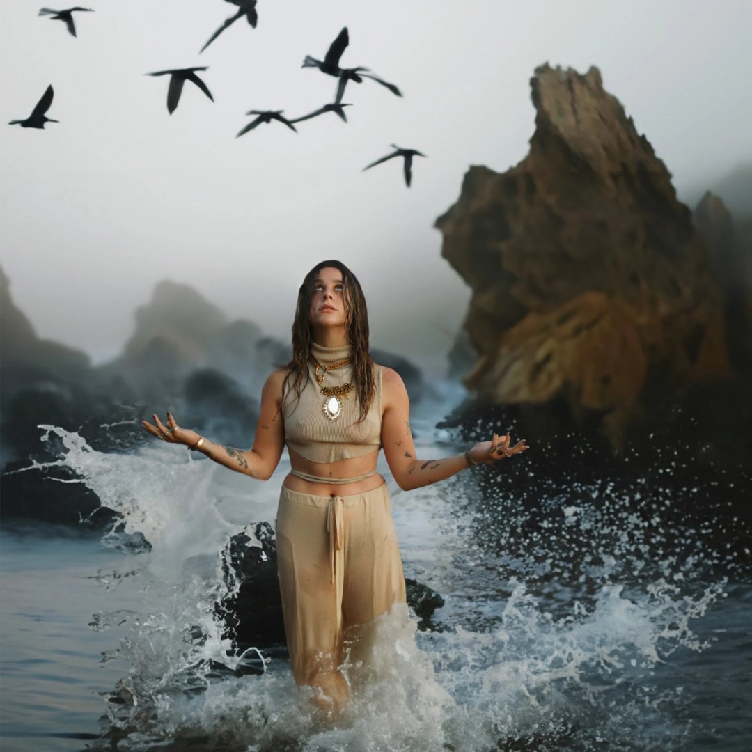 V13 Media tweet media