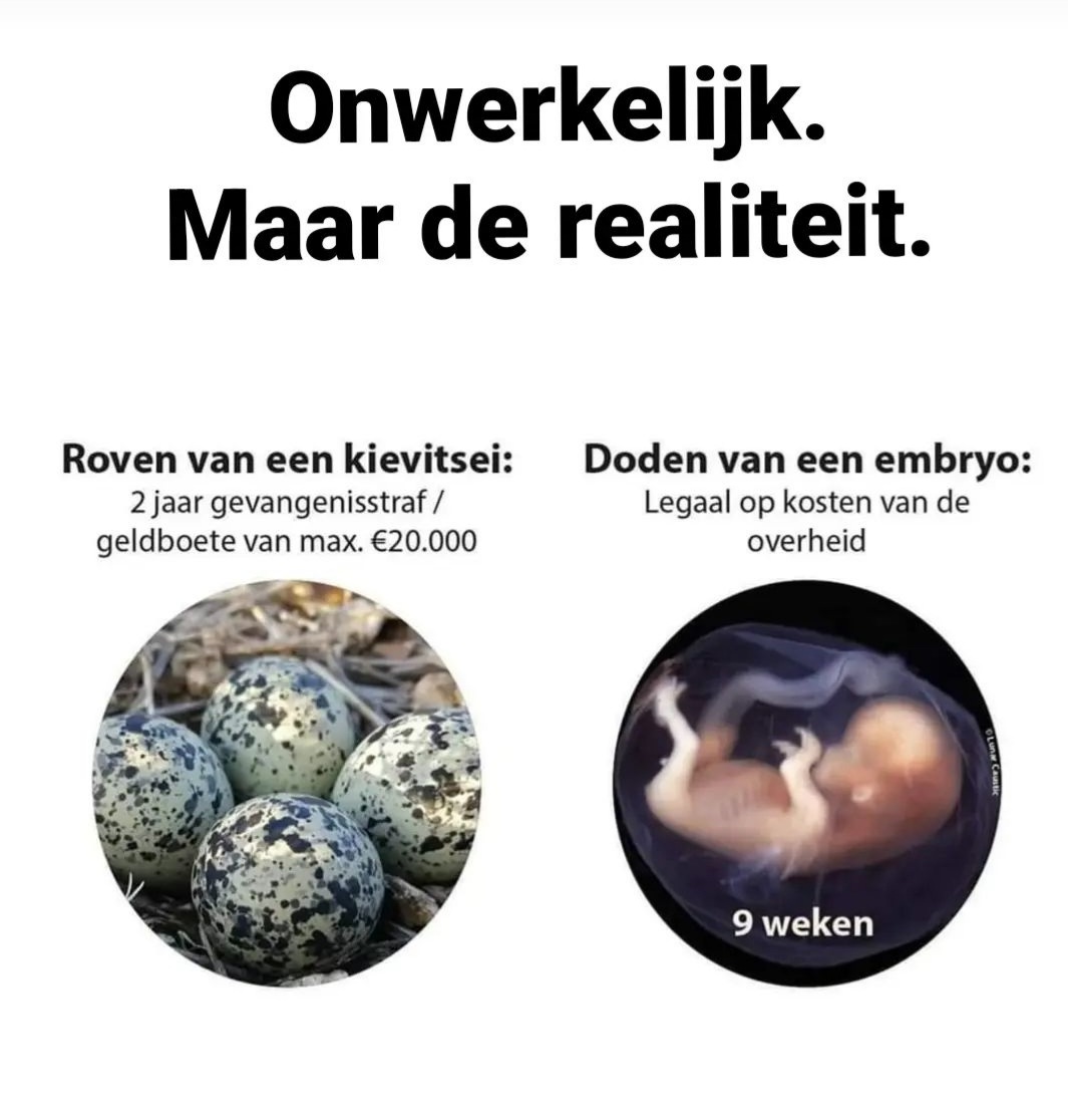 KikiFloor68's tweet photo. @Bosboer1 Goed zo, spreek hun geweten maar aan. Als ze dat hebben .
Een mensenleven heeft geen waarde voor pro abortus.#stopabortus van #ongeboren #kinderen blijf je af! https://t.co/IDYLnXk5Zz