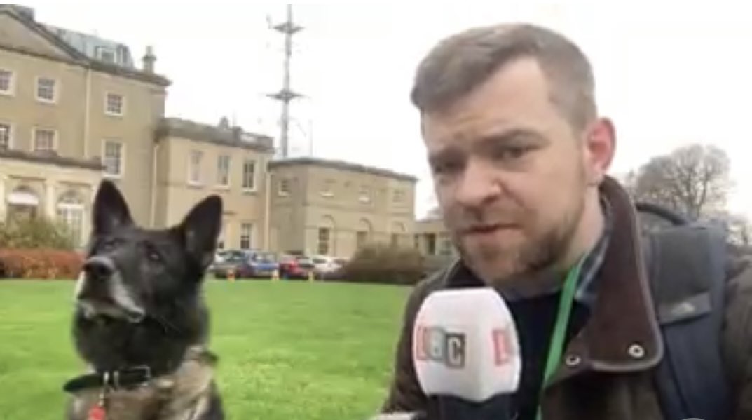 Josh Giltrap tweet media