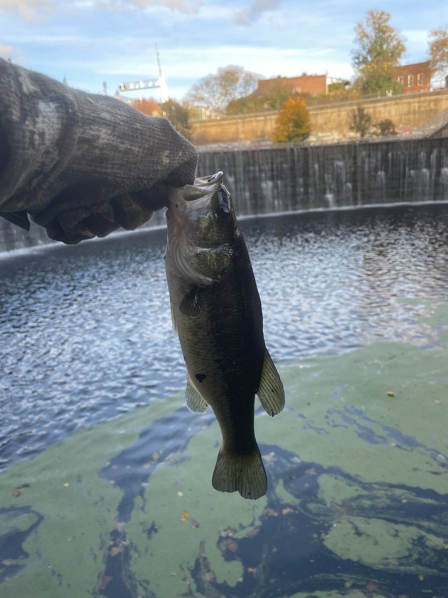 holdonmone's tweet photo. I love fishing https://t.co/xM4h08oxQz