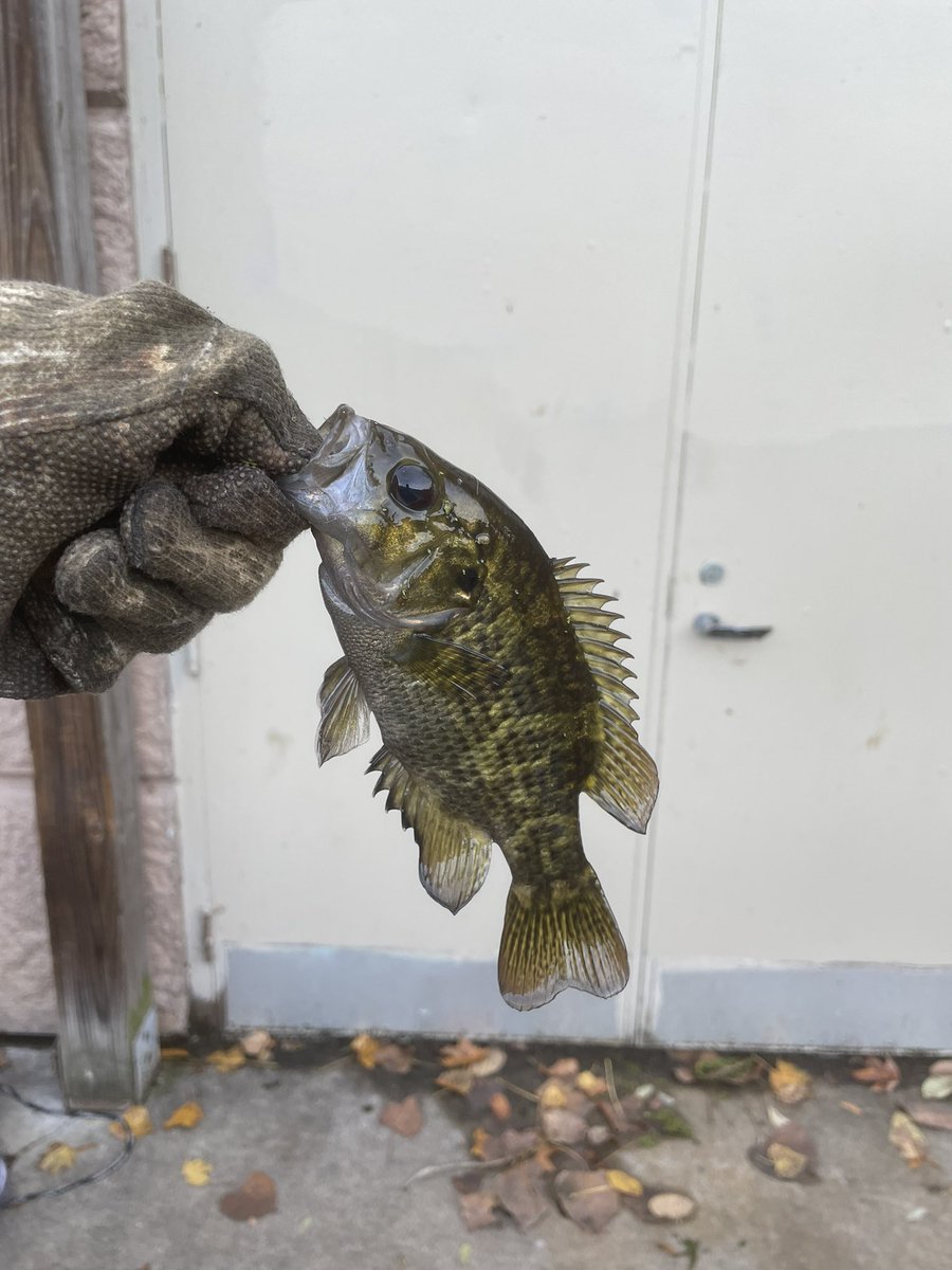 holdonmone's tweet photo. I love fishing https://t.co/xM4h08oxQz