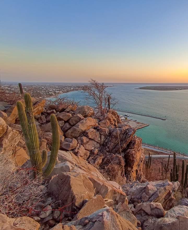 🌅 Ya es viernes palomilla ✌🏻
#bcsmitierra🌵 #lapazbcs🌴

Fuente: Baja California Sur es mi Tierra.- Todos los créditos a su autor 👇🏾