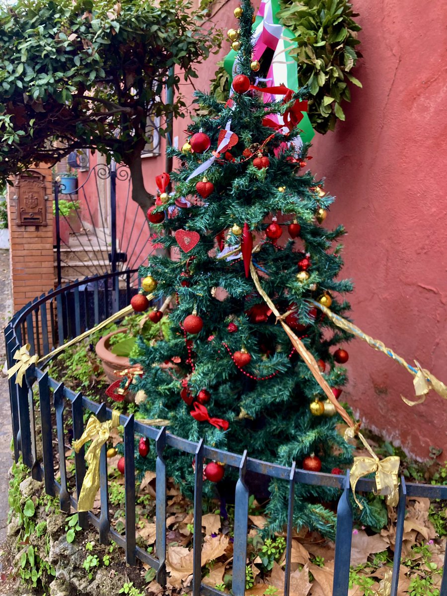 #8dicembre tradizione rispettata …. Anche il borgo di #IsolaFarnese ha il suo spelacchio