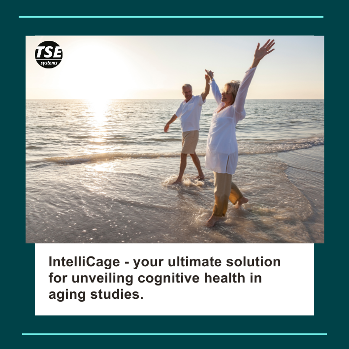TSESystems's tweet photo. Life expectancy rises, but so do age-related diseases. Explore cutting-edge research using the IntelliCage system, shedding light on cognitive health preservation.
Find out more in our blog post: https://t.co/wHzTImdfEx
#IntelliCage #HealthyAging #TSESystems #animalresearch https://t.co/zBDLemgHyT