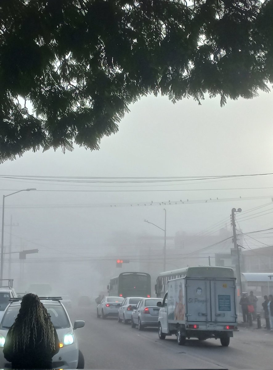 veronikgarciaa's tweet photo. Quisiera estar en mi cama, ni modo toca trabajar.🥶😢
#tetlan #Guadalajara https://t.co/AgpVRUxpe4