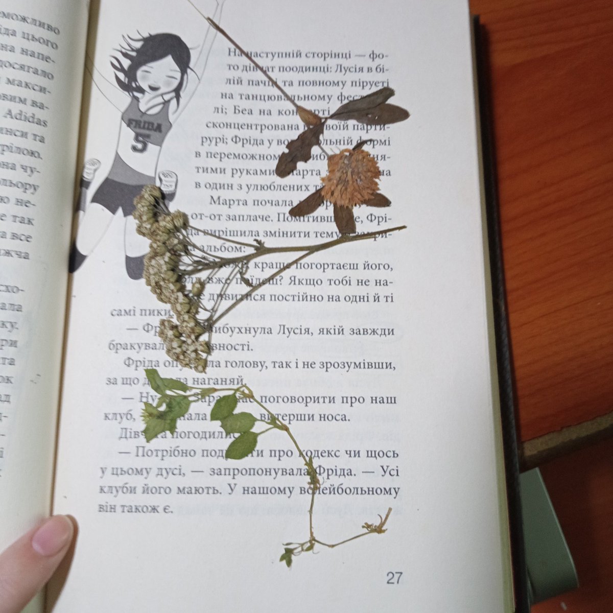 sibanulo's tweet photo. Травинки ,квіточки, листочки які я підбирав у різних час і в різних місцях для настрою. https://t.co/L0HHVeLNgY