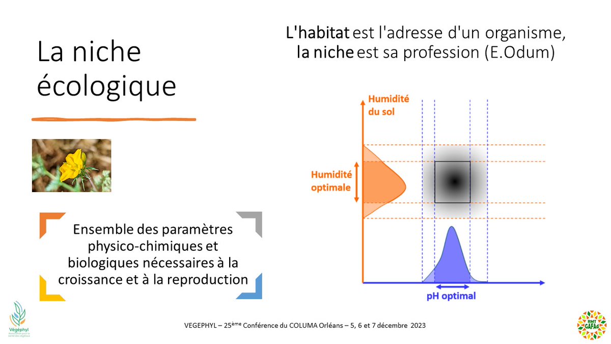 Stéphane CORDEAU tweet media