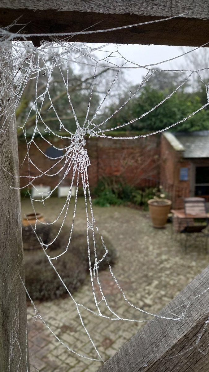 cspenceproducer's tweet photo. Another day, another location scout... We've found some terrific locations for the filming of DAGGERS INN, so it's game on to weave our tangled web in Olde England. Do consider supporting the project on Indiegogo if you can!🗡️https://t.co/fpbpd28Bfx #DaggersInnMovie https://t.co/Ow1GfA9Ymh