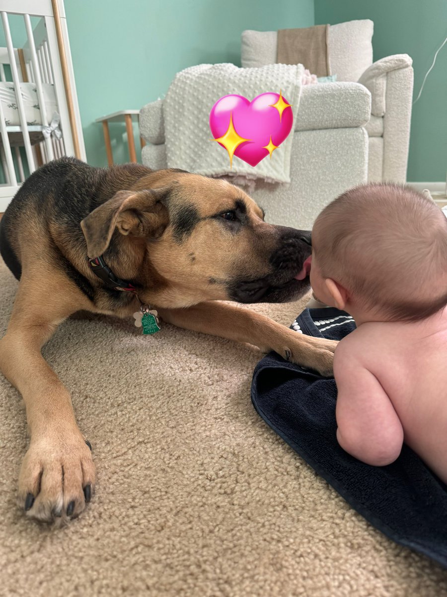 DBReeezy_'s tweet photo. Just two kids hanging out https://t.co/tfVH0xO6Jf