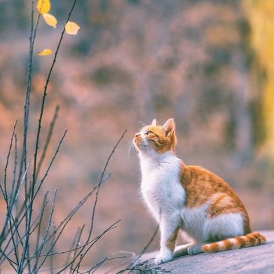 BioBio0909's tweet image. #ẢnhHồsơMới