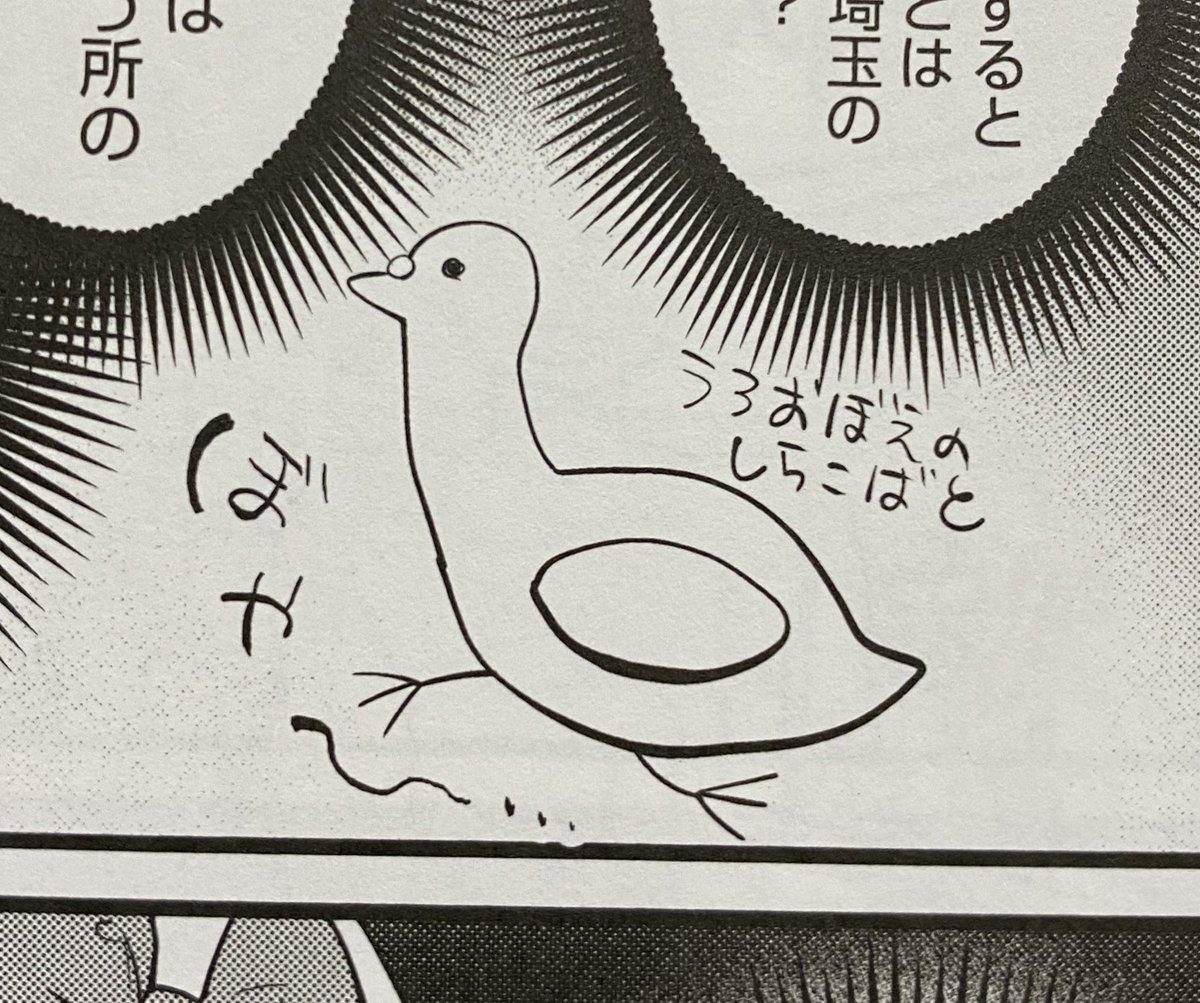 富山系埼玉県人による雷鳥とシラコバトの解像度の格差 