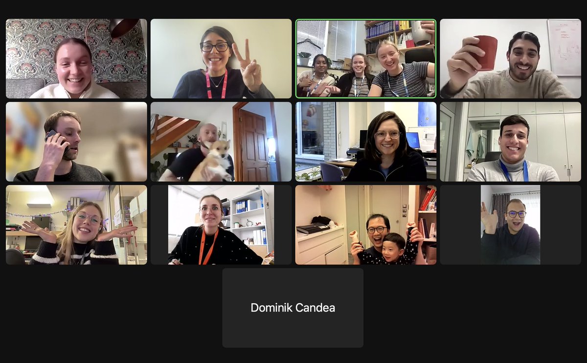 Great end of the year for the <a href="/youngnhlnetwork/">youngnhlnetwork</a> seminar series!
Thank you <a href="/AlexSteemers/">Alexander Steemers</a> for your super interesting talk of #SingleCellSequencing in Burkitt! And a huge thank you to all the y-NHL members!

More info and how to join on: young-nhl-network.gitlab.io