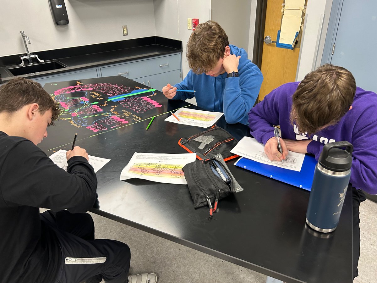 AS Biology students are creating models to demonstrate their understanding of the evolution of human skin color.