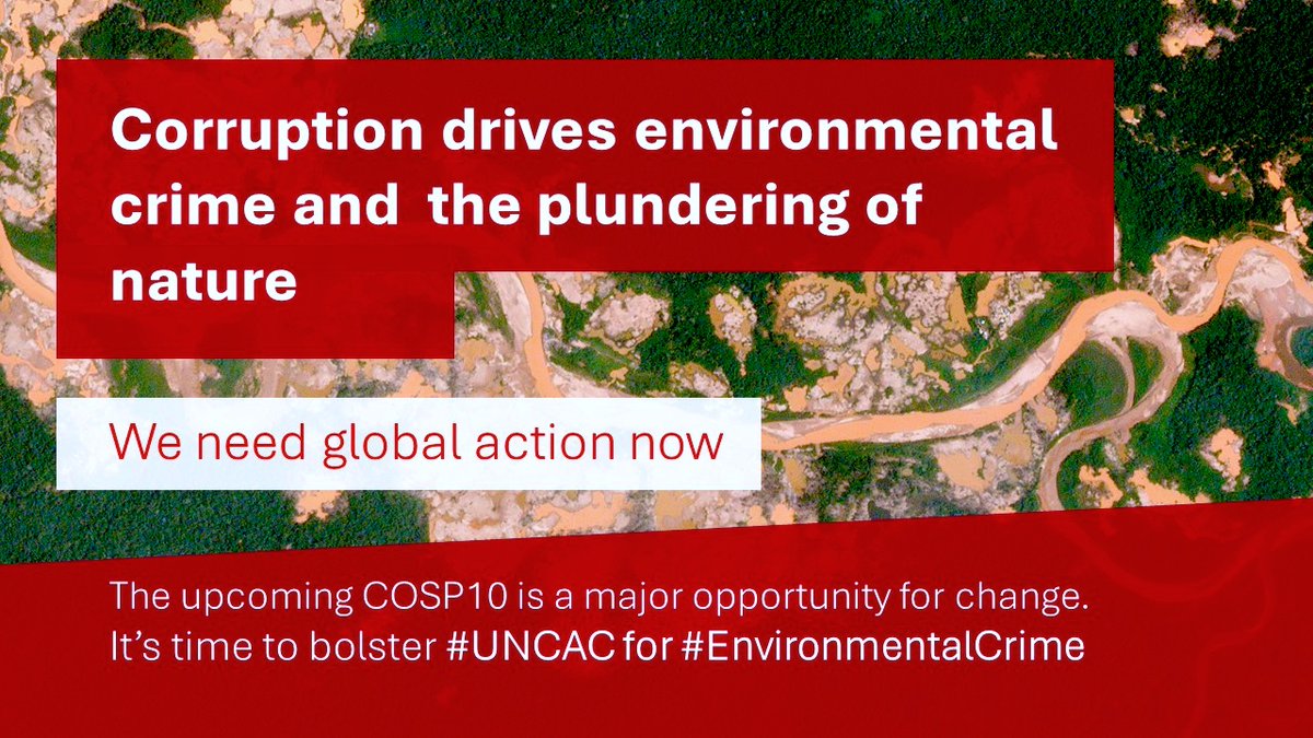 With 100s of organizations, @WWF is calling on governments to strengthen #UNCAC to tackle #environmental crime and #corruption. #COSP10 must protect #nature and communities around the world. 👉uncaccoalition.org/wp-content/upl… #IACD2023 #COSP10 #UNCAC #EnvCrime #UnitedAgainstCorruption