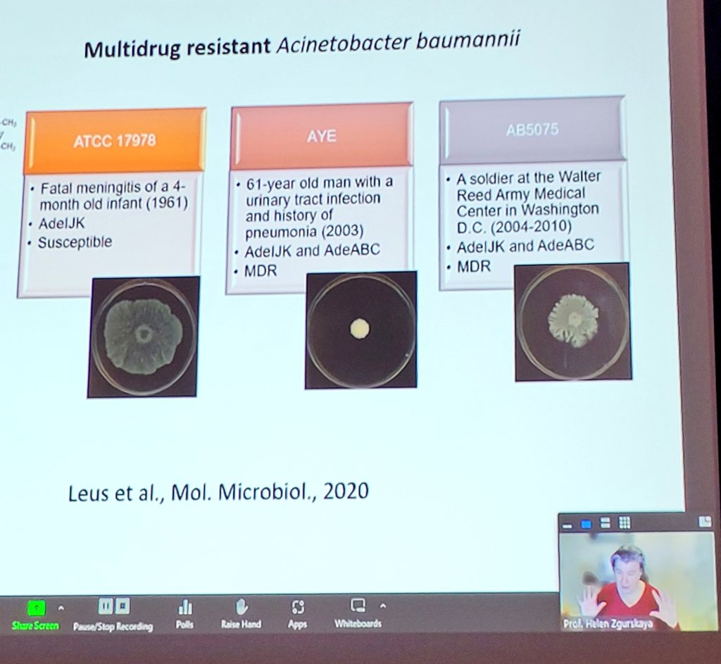 iquimicaunam's tweet photo. Ahora, en el Simposio #EnfoquesRAM, se presenta la conferencia Drug Efflux in the Multiverse of Antibiotic Resistance, de la Prof.
Helen I. Zgurskaya de @UofOklahoma https://t.co/wvkJiFYCai