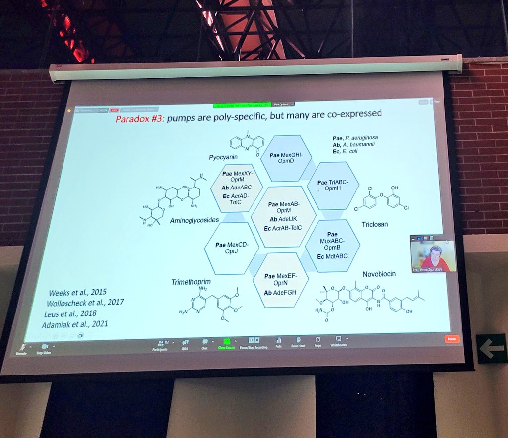 iquimicaunam's tweet photo. Ahora, en el Simposio #EnfoquesRAM, se presenta la conferencia Drug Efflux in the Multiverse of Antibiotic Resistance, de la Prof.
Helen I. Zgurskaya de @UofOklahoma https://t.co/wvkJiFYCai