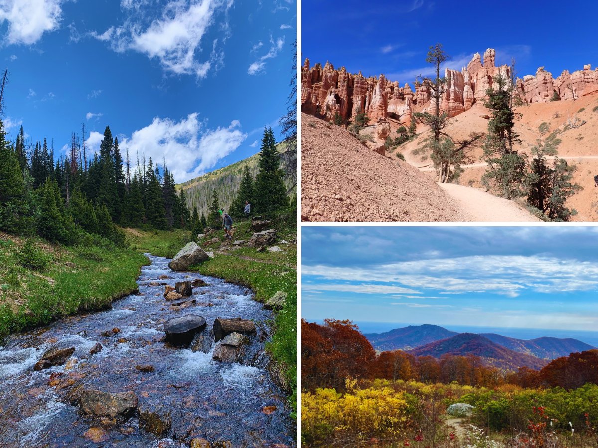 The list of fee-free #NationalPark days for 2024 is out. Check out our national parks resources for details and tips to plan a trip. Where will you go? bit.ly/famTravelsNatP…