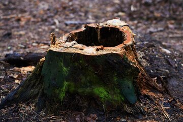 's tweet image. W l'Italia antifascista!

E ora identificate pure sta ceppa.

#8dicembre #Digos