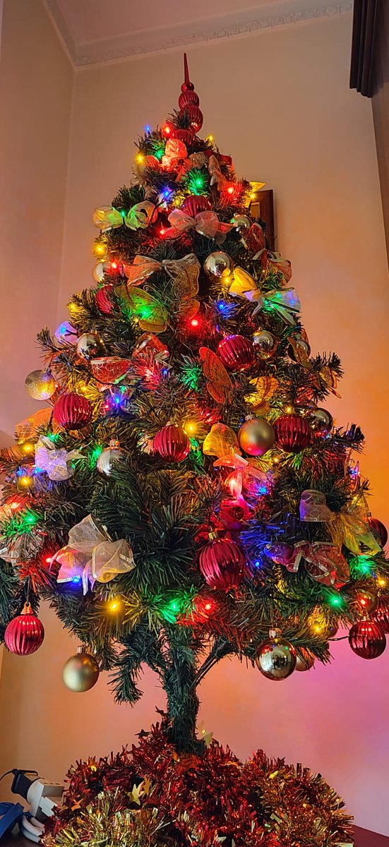 BrunaMarini5's tweet photo. A tutti voi buona festa dell'Immacolata...... https://t.co/J9rRECEu5C