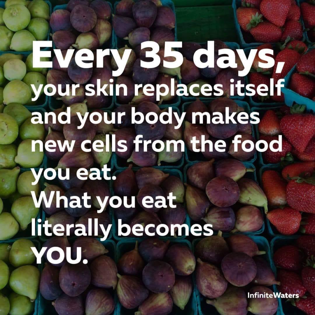 healthbot (@thehealthb0t) on Twitter photo 