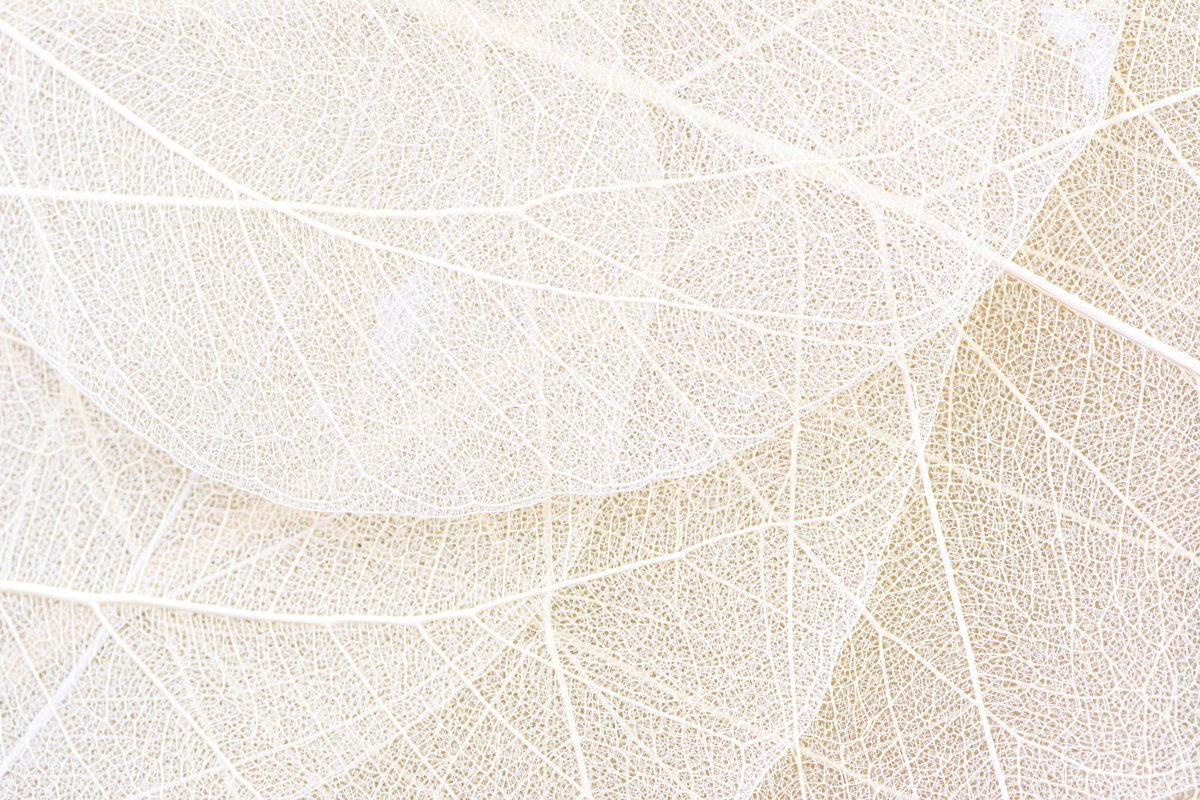 ASAging's tweet image. As life expectancy rises and the number of elders grows, we will see more disability. The time to address ageism and ableism is NOW. @sageusa does a perfect job of that in the new #GenerationsJournal: generations.asaging.org/SAGE-2023
@LisaDNews @paula_span @judith_graham @LATstevelopez