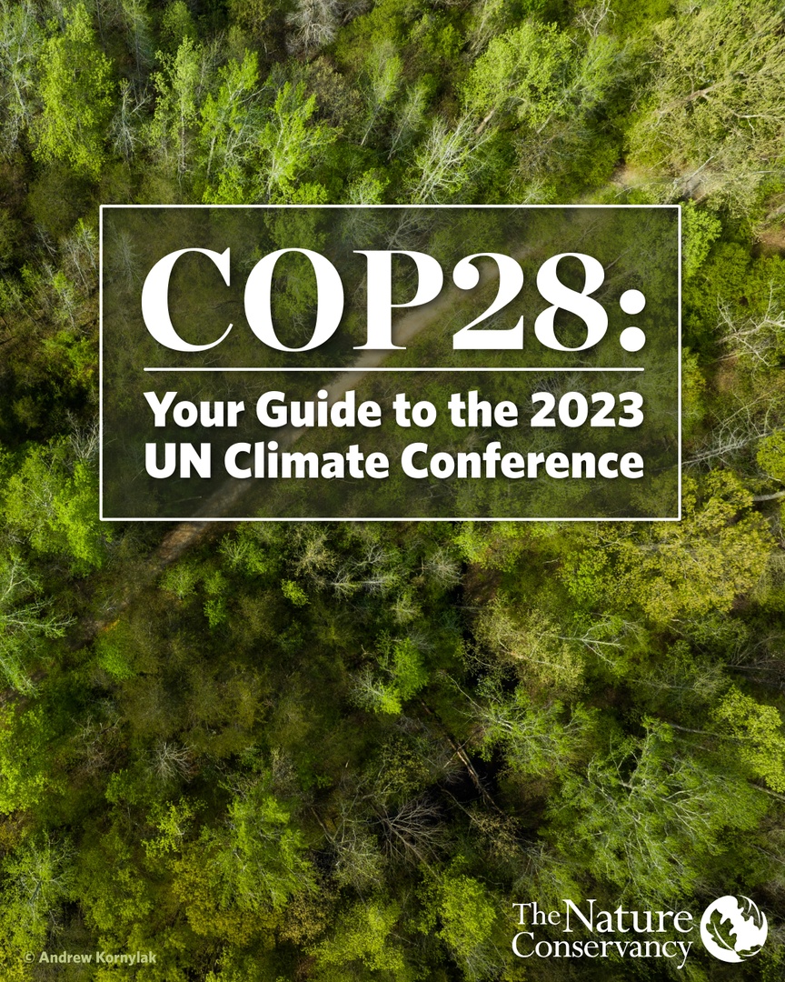 The Nature Conservancy in Connecticut tweet media