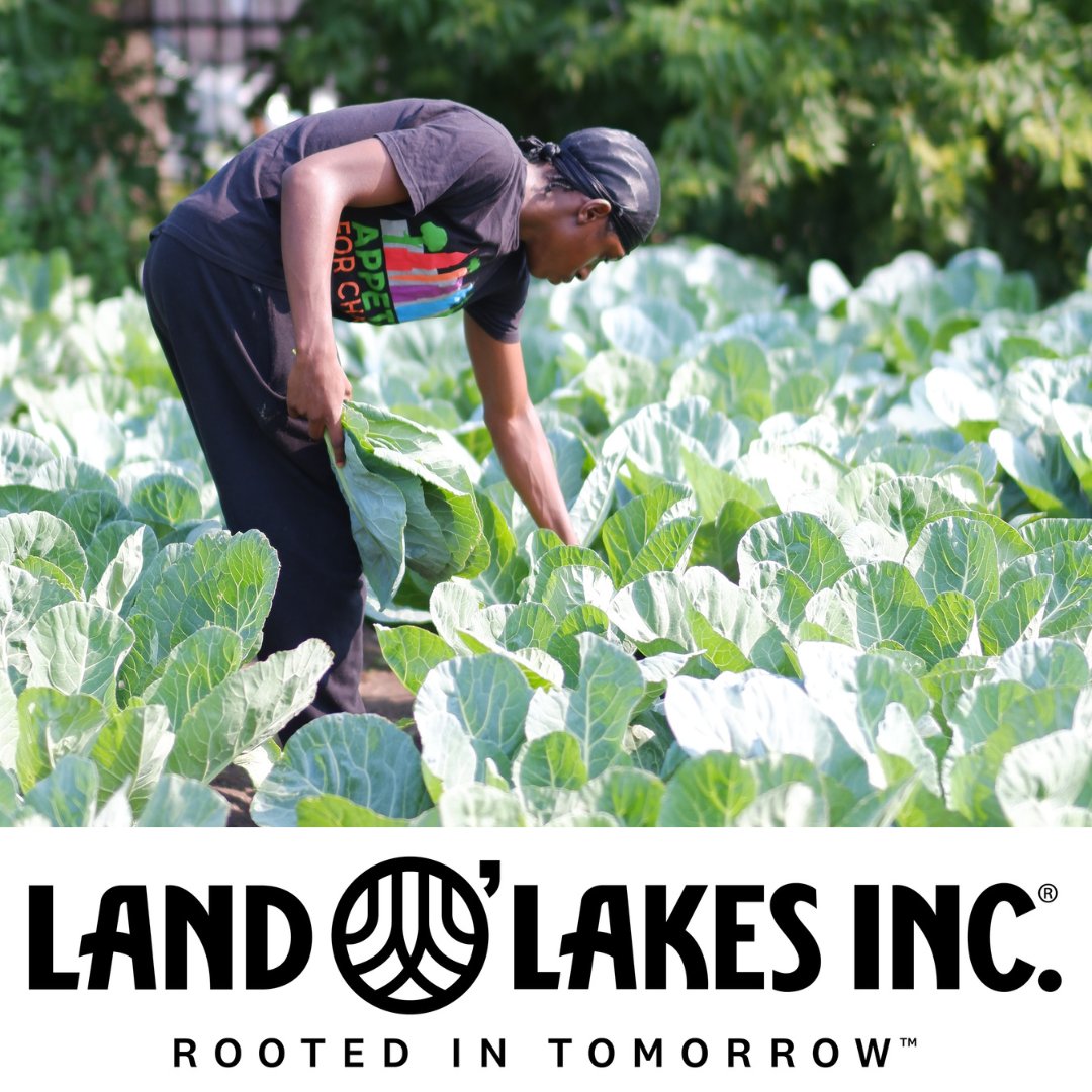 Appetite For Change tweet media