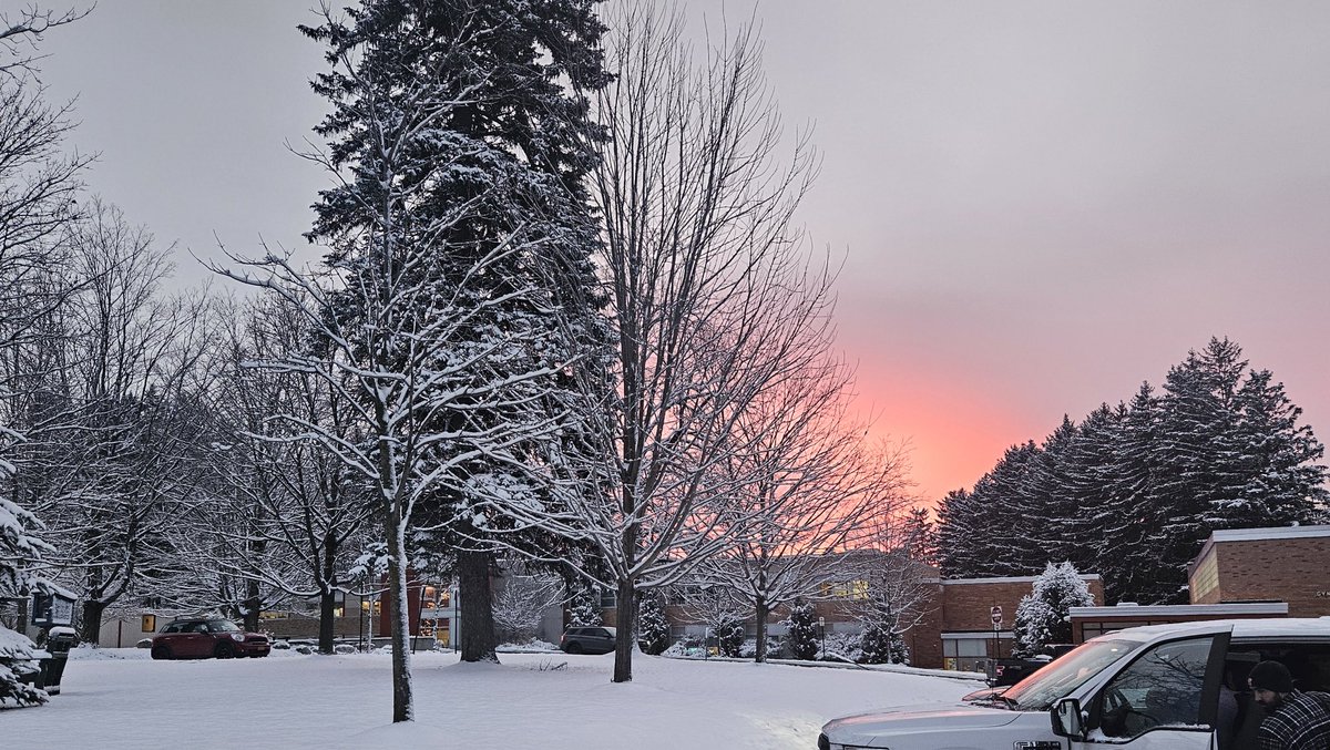 principaldupree's tweet image. Our beautiful little school filled with love! 💕