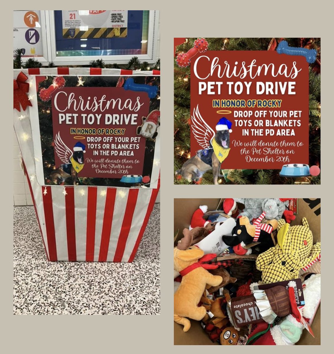 🩵🎄Pet Toy Drive in Action🎄💛
Thank you to those who have already donated a pet toy! #1PRIDE #believe