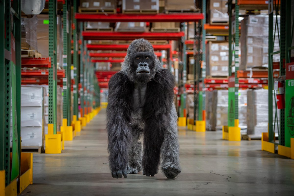Looking for Gorilla? He’s probably in our manufacturing plant, making sure things are running smoothly. That’s #TheGorillaWay #gorillaglue #diy #handmade #art #homedecor #design #craft #doityourself #woodworking