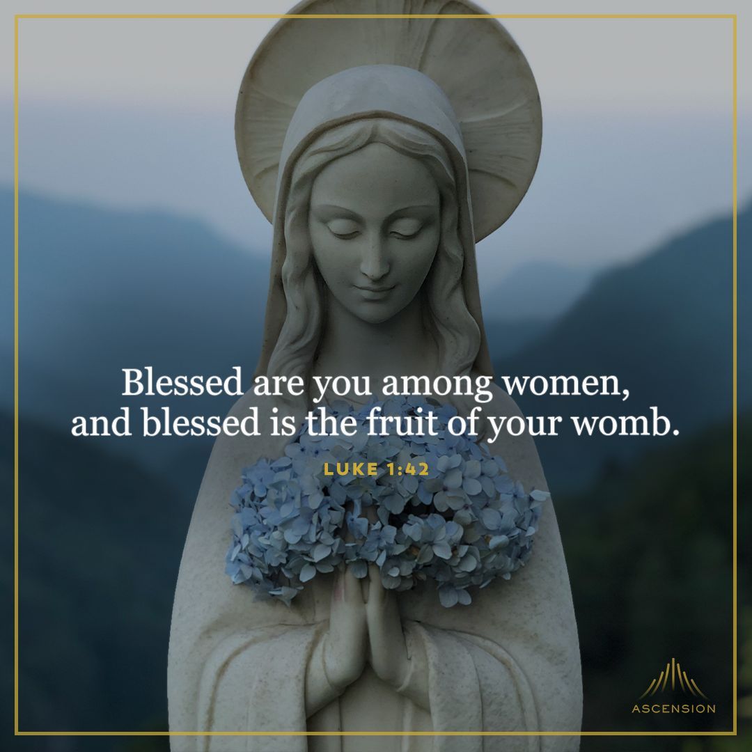 AscensionPress's tweet image. Happy Solemnity of the Immaculate Conception!