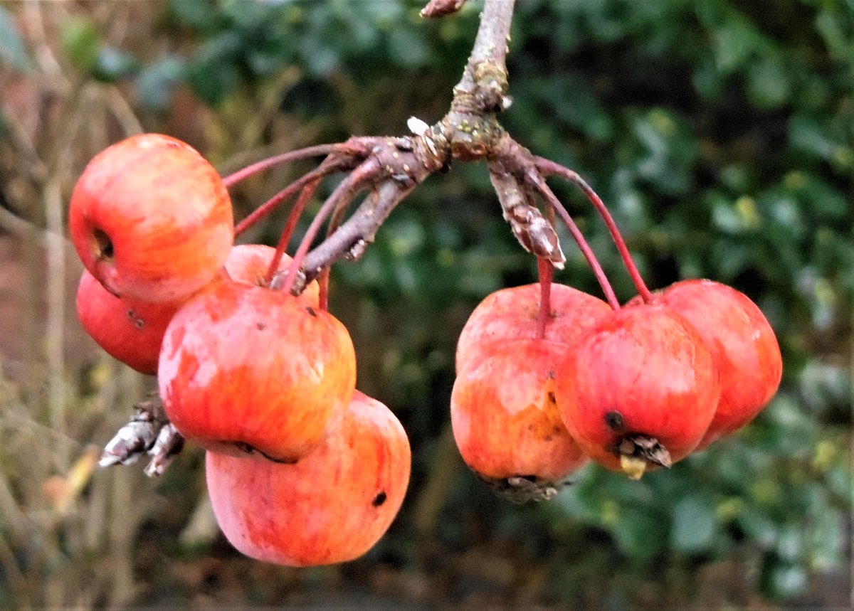 ian (@vappuk) on Twitter photo 