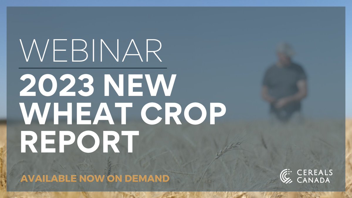 2023 New Wheat Crop Report Webinars are available now on-demand. Learn about this year’s wheat production and technical analysis of quality and functionality—everything you need to know about Canada’s new crop. WATCH NOW: cerealscanada.ca/new-crop-event…