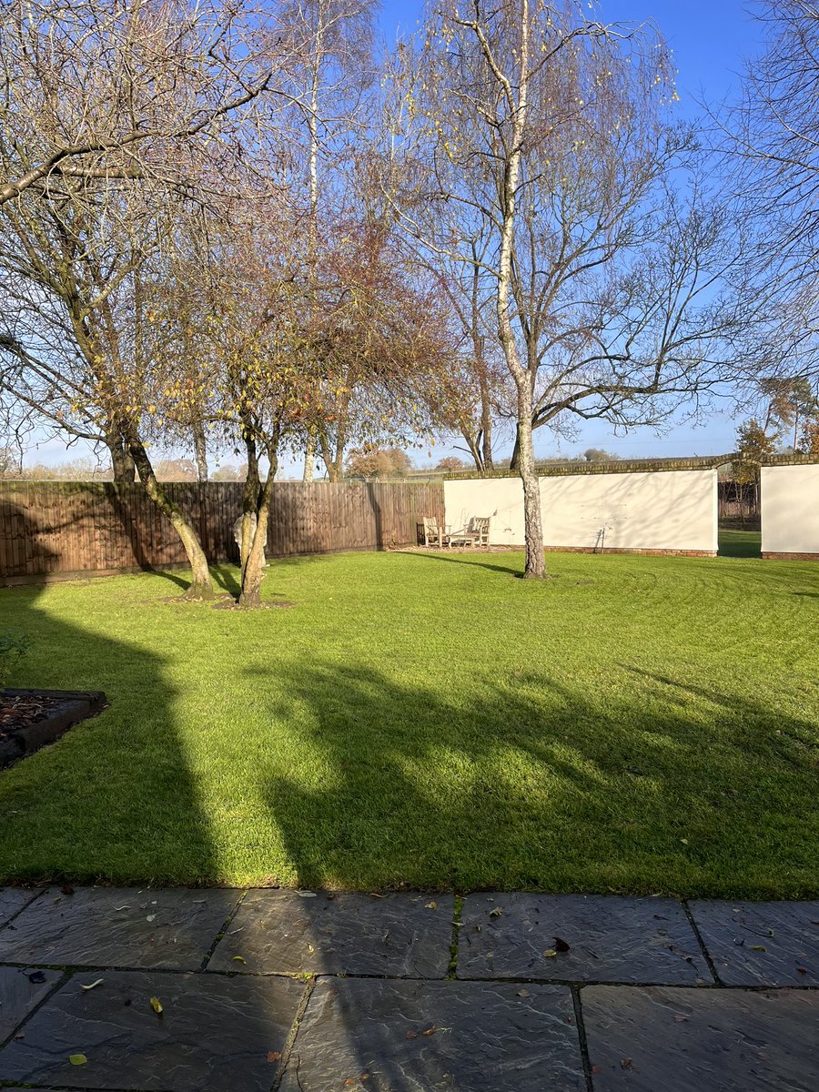 DH_Maintenance's tweet image. #forecast #spoton was a #lovely #day while #sun was out 👍 first thing was topping these &amp;amp; removing almost the last of the #leaves 👍 #grass looking good 🙂