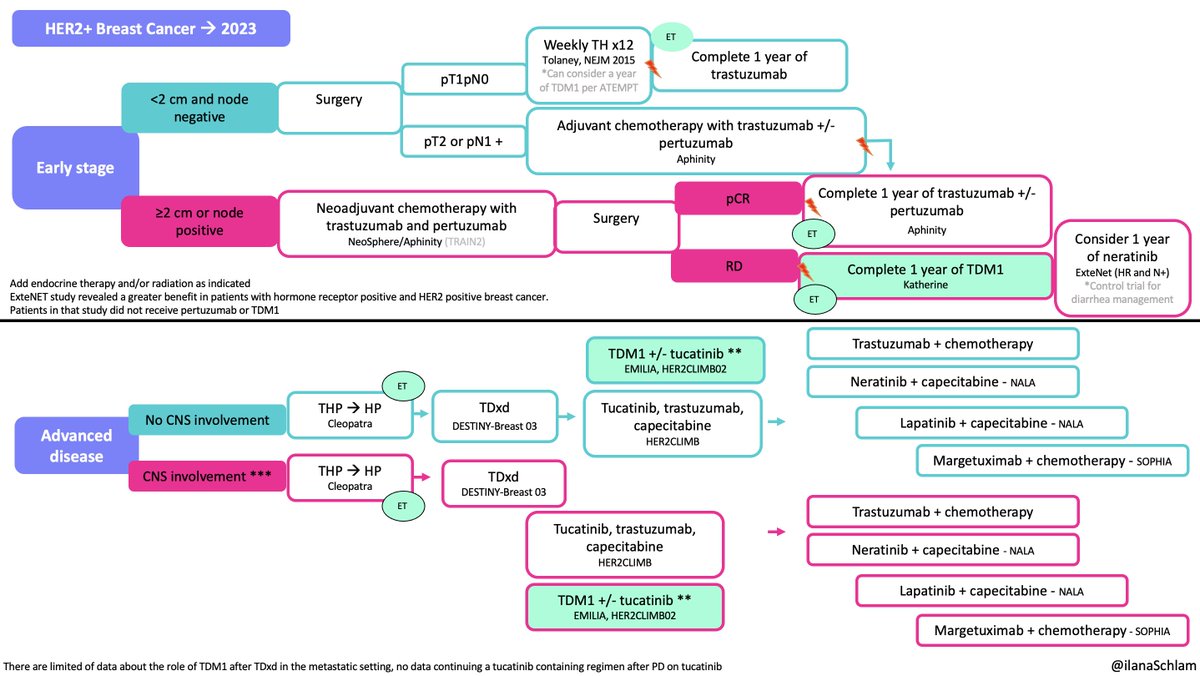 2023 was an outstanding year for breast cancer research 
As we start wrapping up #SABCS23, we need to think about how to incorporate what we learned in the clinic and future research.
Looking forward to what is yet to come to improve outcomes for our patients! 
@OncoAlert  #BCSM