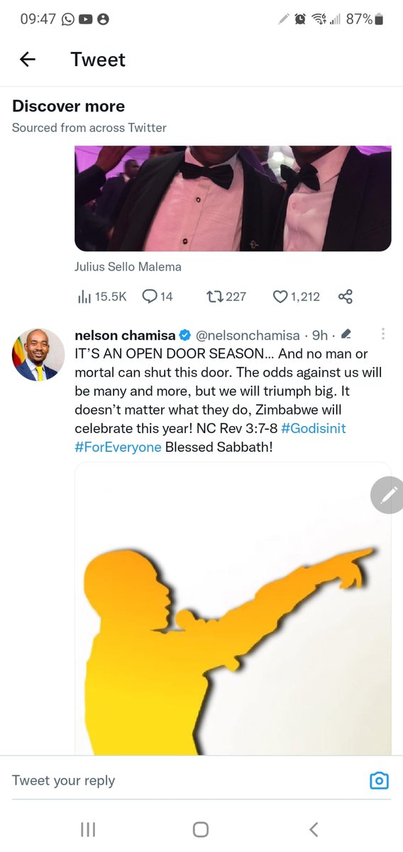 ruxtonberry1's tweet photo. @LynneStactia Its the false hope for me. You're made to believe that there is a grand plan, that after voting there is a strategy to remove Zanu. But you realize he cannot even save his own party. https://t.co/6VThzU2Of3